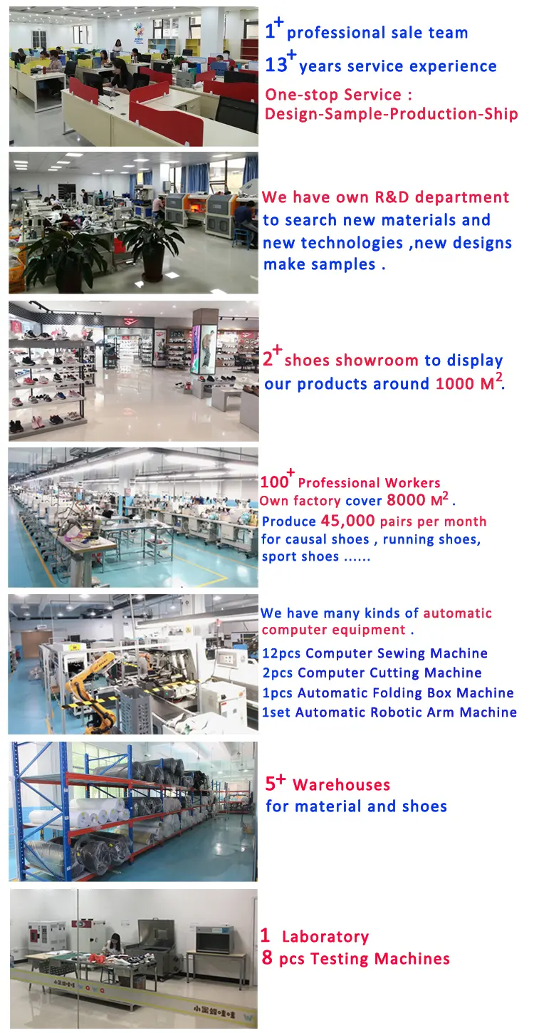 company information